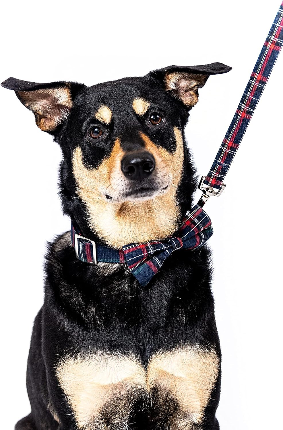 Scottish Tartan Bowtie Dog Collar & Leash Set with Detachable Bow Tie for Girl or Boy Dogs Comfortable Plaid Pattern, Fully Adjustable, Great Pet Gift (XS, Blue)