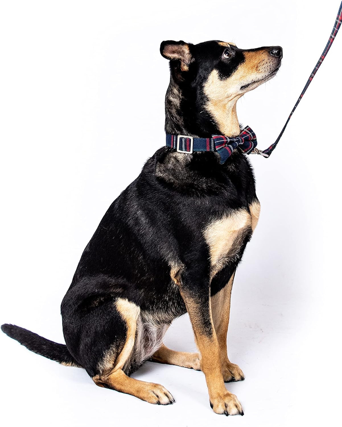 Scottish Tartan Bowtie Dog Collar & Leash Set with Detachable Bow Tie for Girl or Boy Dogs Comfortable Plaid Pattern, Fully Adjustable, Great Pet Gift (XS, Blue)